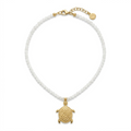 Tortuga blanca